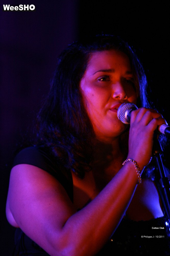 14/20 photos du spectacle Cotton Club