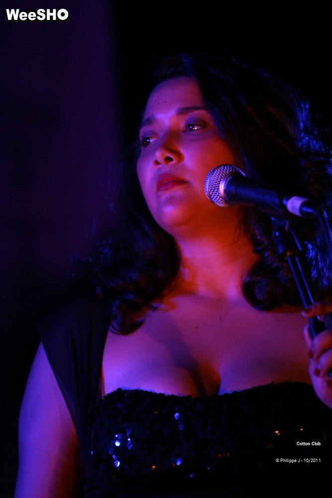 15/20 photos du spectacle Cotton Club