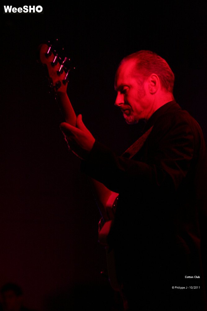 18/20 photos du spectacle Cotton Club