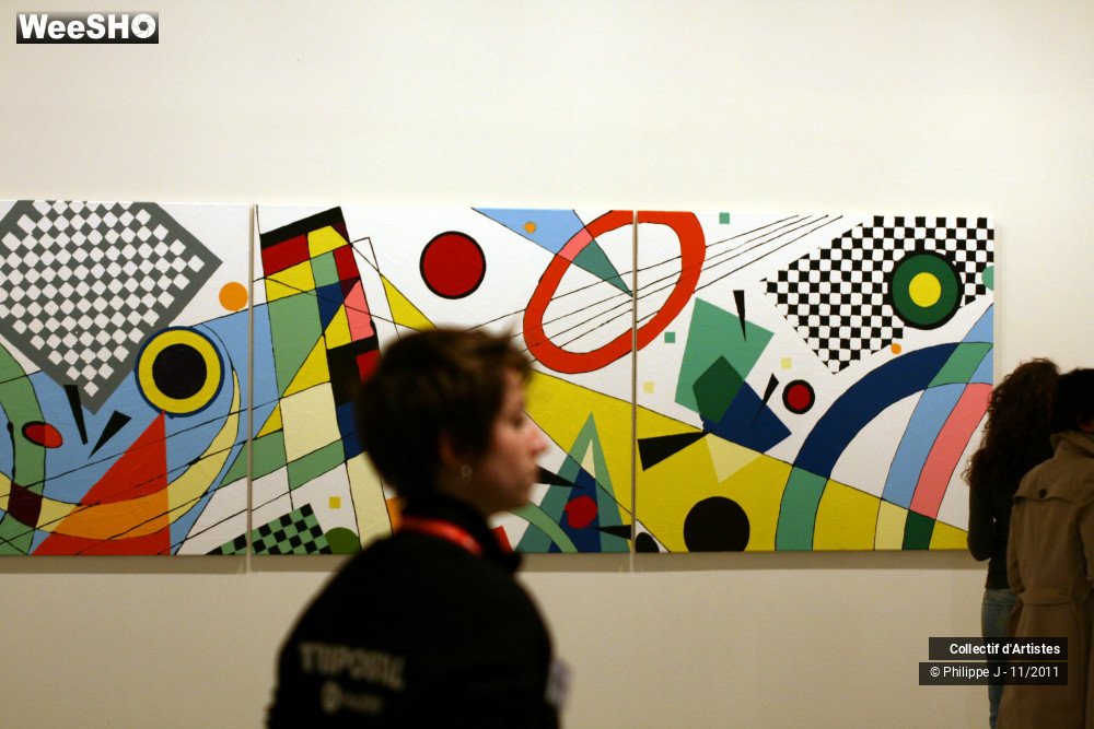 32/50 photos du spectacle Collector