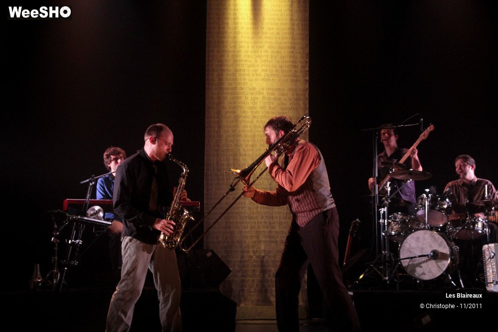 11/50 photos du spectacle Les Blaireaux