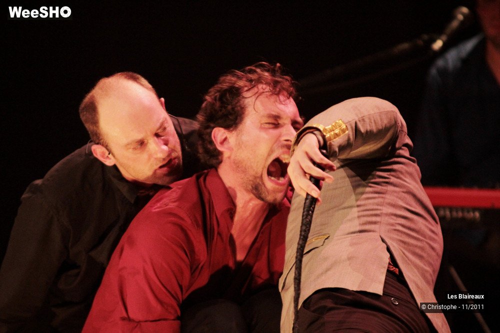 17/50 photos du spectacle Les Blaireaux