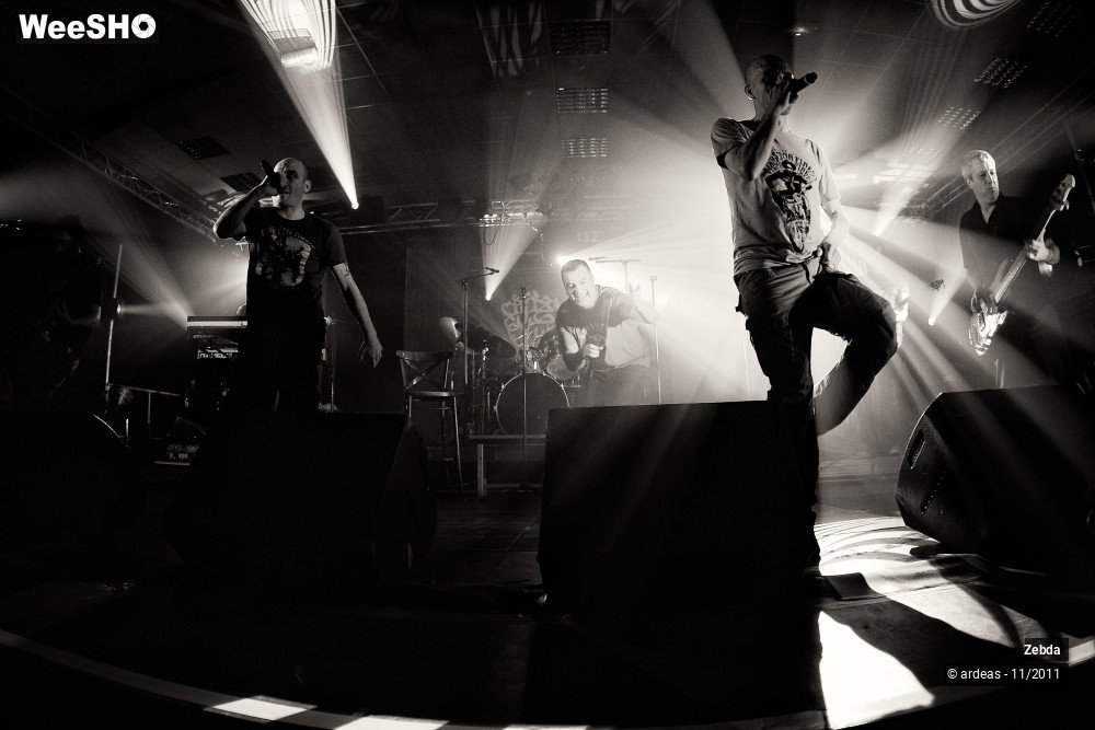 11/31 photos du spectacle Zebda