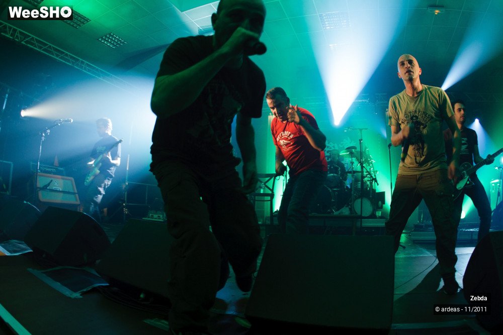 16/31 photos du spectacle Zebda