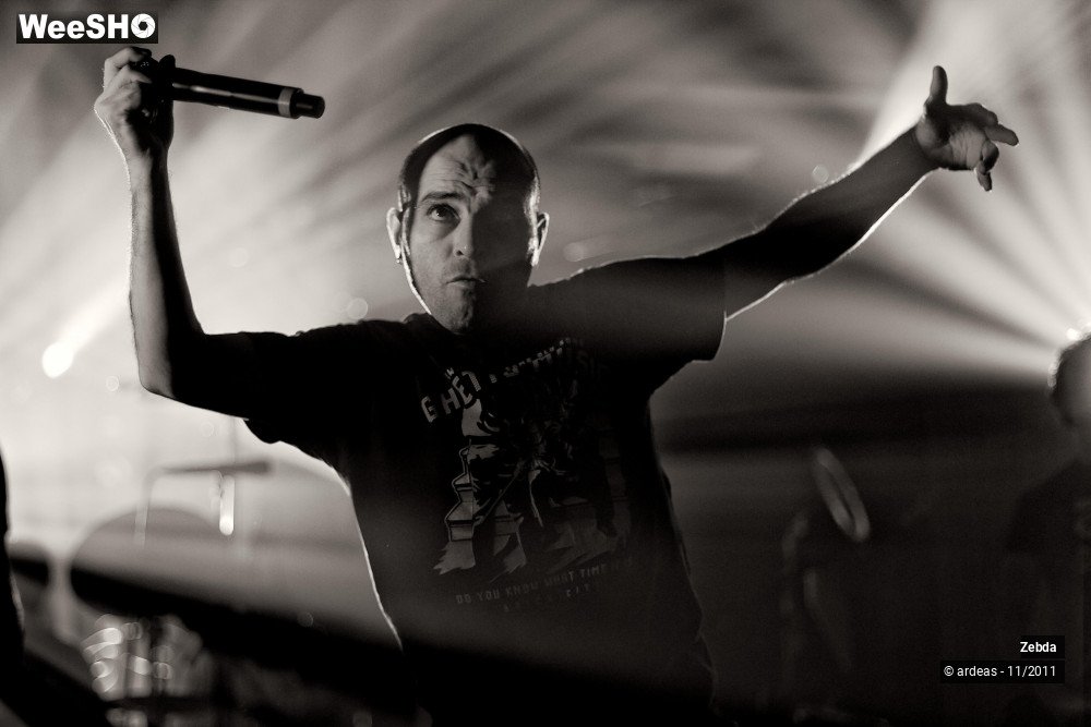 22/31 photos du spectacle Zebda