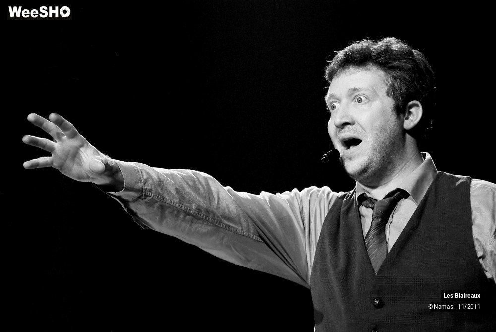 2/49 photos du spectacle Les Blaireaux