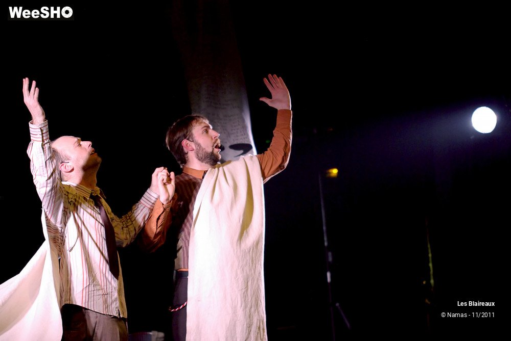 4/49 photos du spectacle Les Blaireaux