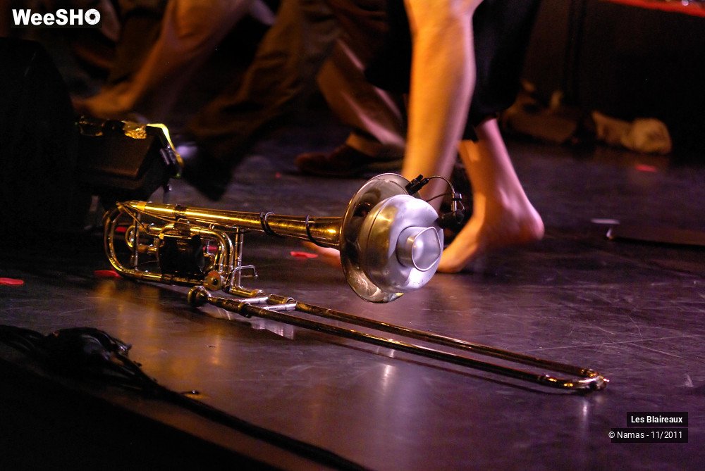 22/49 photos du spectacle Les Blaireaux