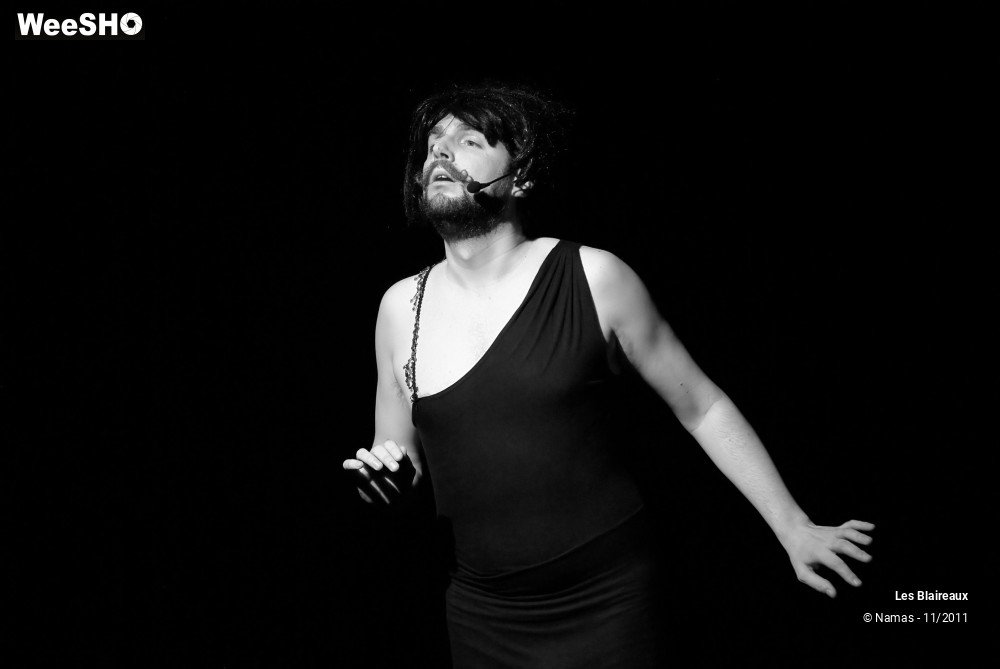 27/49 photos du spectacle Les Blaireaux