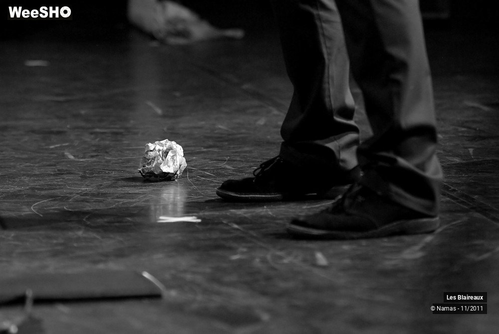 28/49 photos du spectacle Les Blaireaux