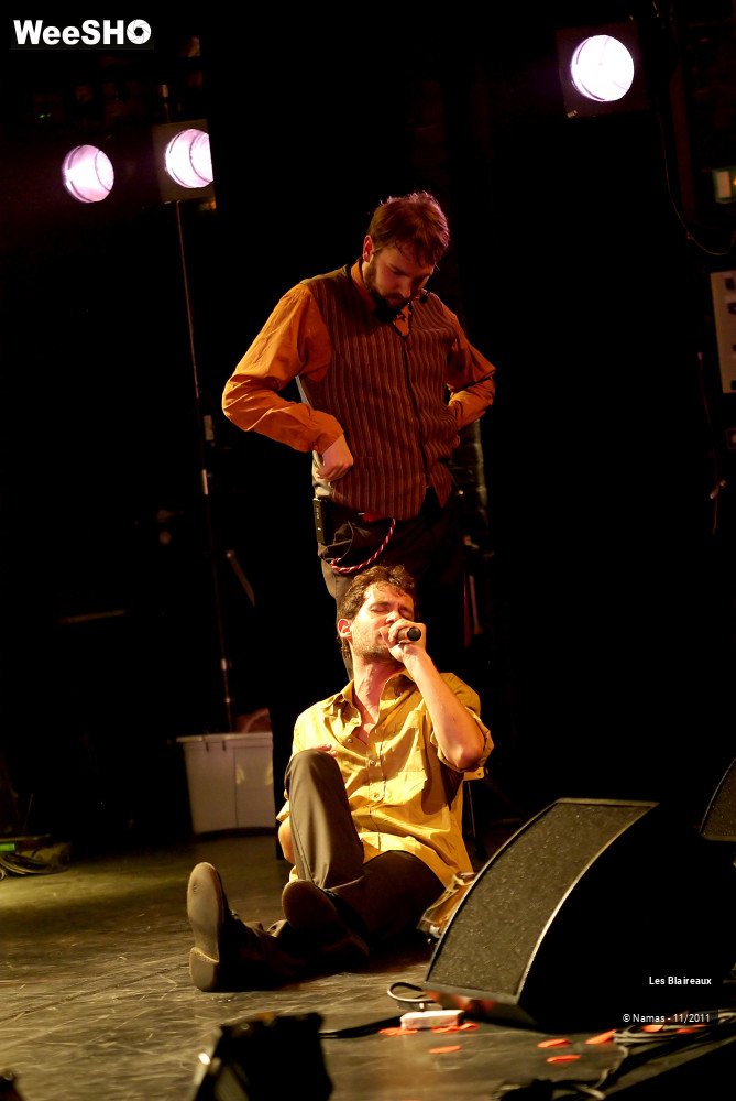 32/49 photos du spectacle Les Blaireaux