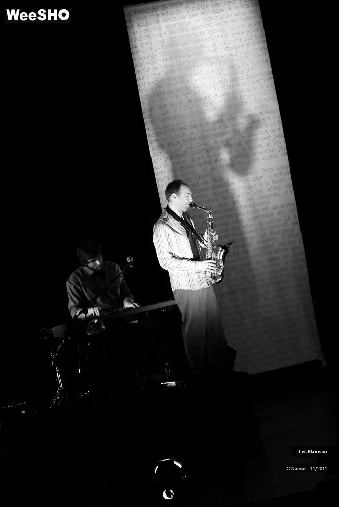 40/49 photos du spectacle Les Blaireaux