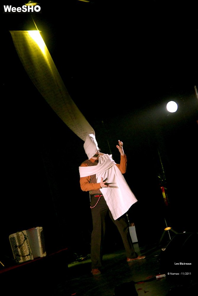 45/49 photos du spectacle Les Blaireaux