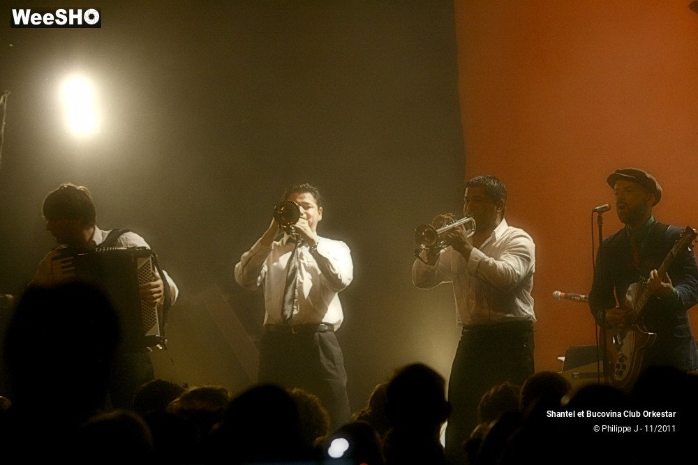 4/38 photos du spectacle Shantel et Bucovina Club Orkestar