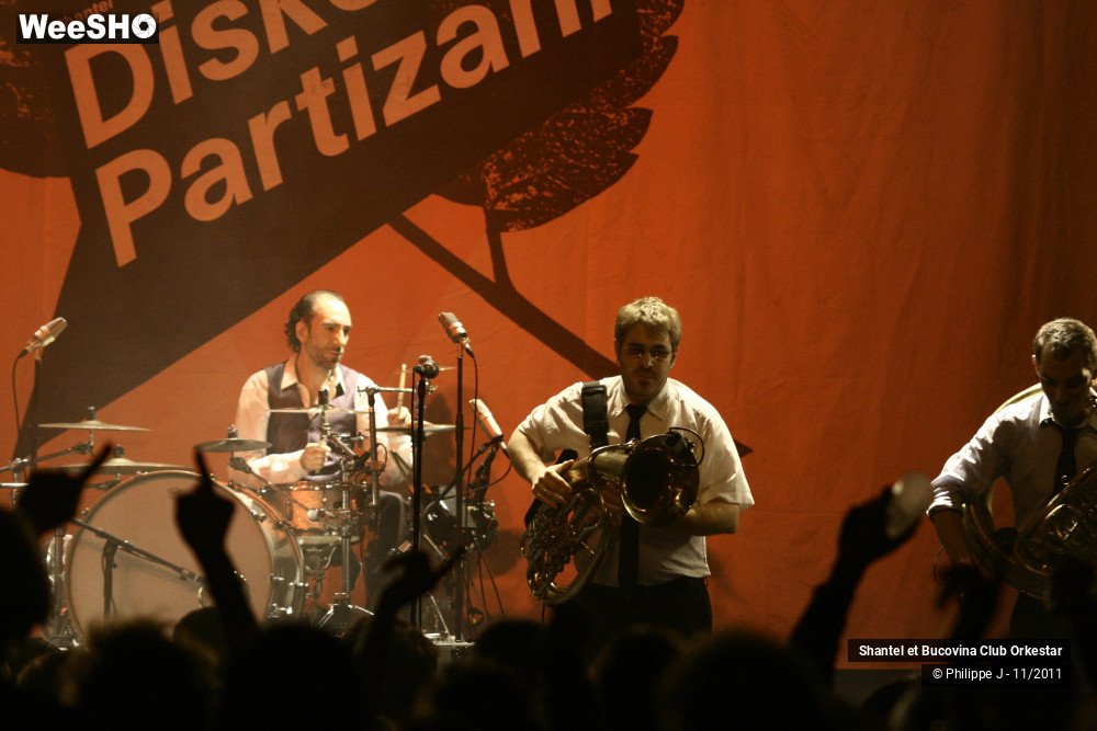 5/38 photos du spectacle Shantel et Bucovina Club Orkestar