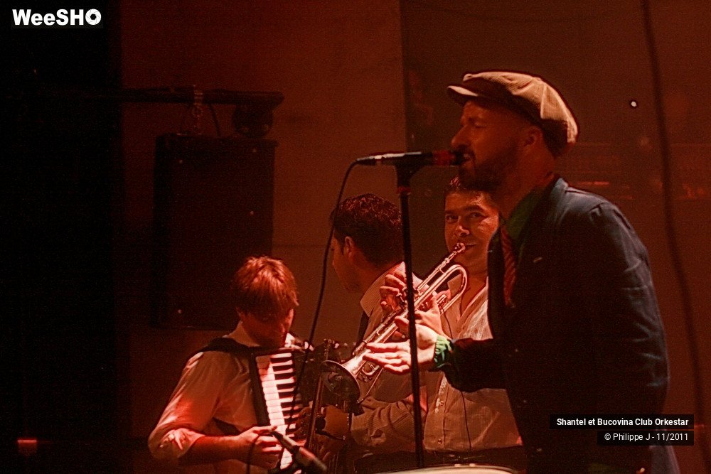 13/38 photos du spectacle Shantel et Bucovina Club Orkestar