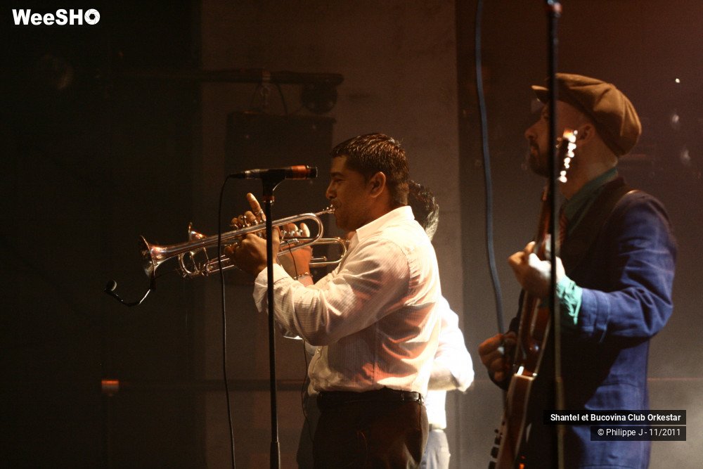 17/38 photos du spectacle Shantel et Bucovina Club Orkestar