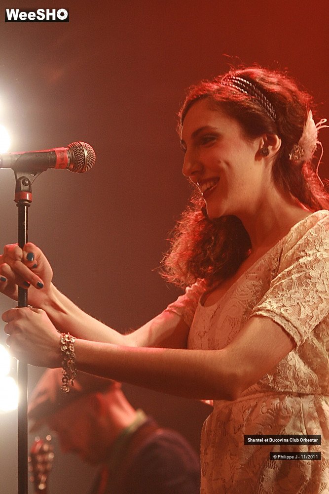 32/38 photos du spectacle Shantel et Bucovina Club Orkestar