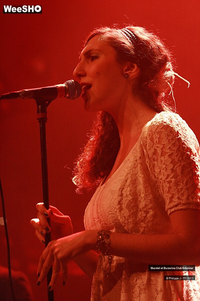 35/38 photos du spectacle Shantel et Bucovina Club Orkestar