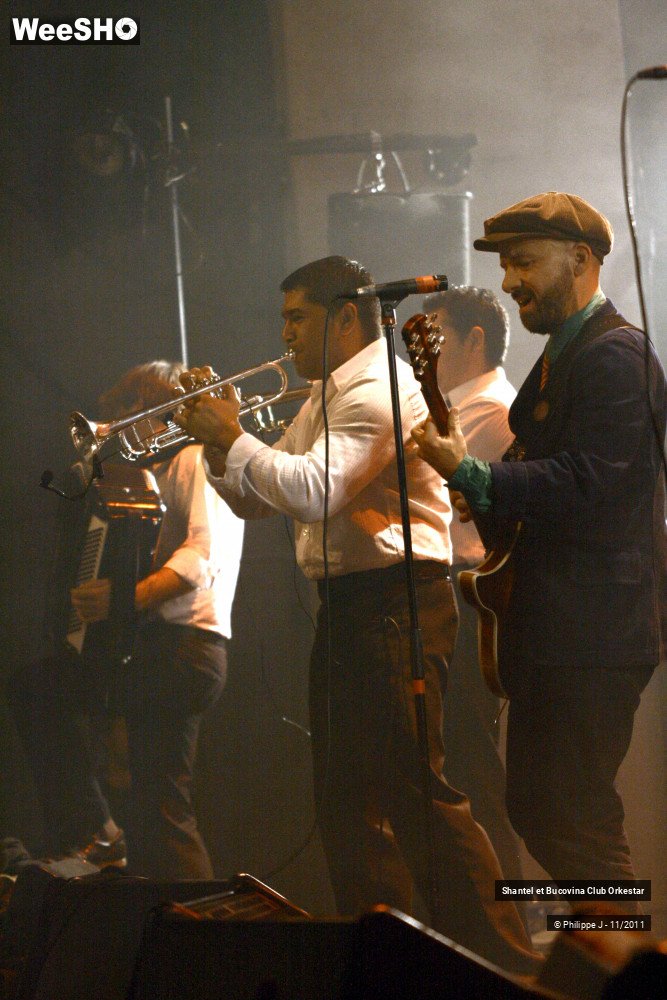 37/38 photos du spectacle Shantel et Bucovina Club Orkestar