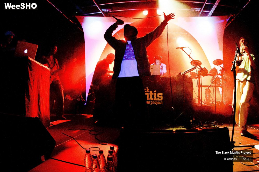 16/28 photos du spectacle The Black Mantis Project