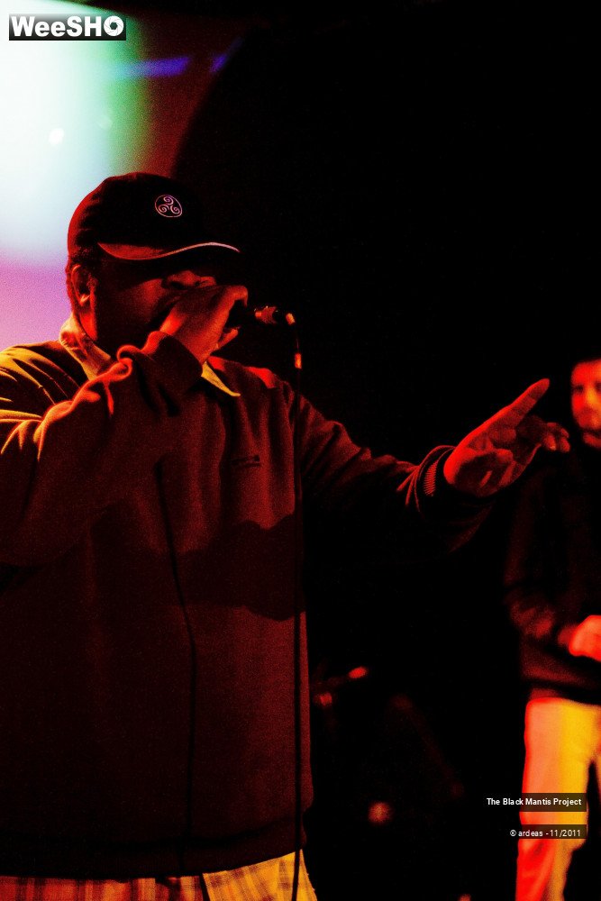 17/28 photos du spectacle The Black Mantis Project