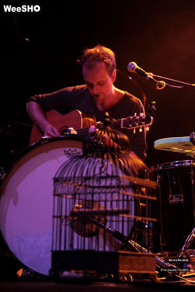 17/19 photos du spectacle We are the birds