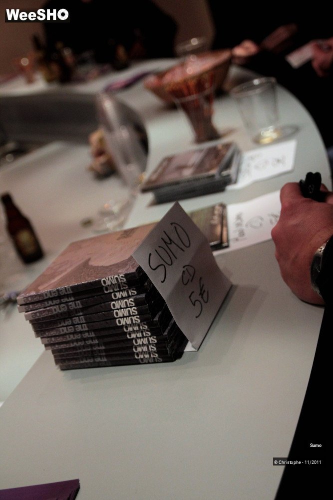 15/20 photos du spectacle Sumo