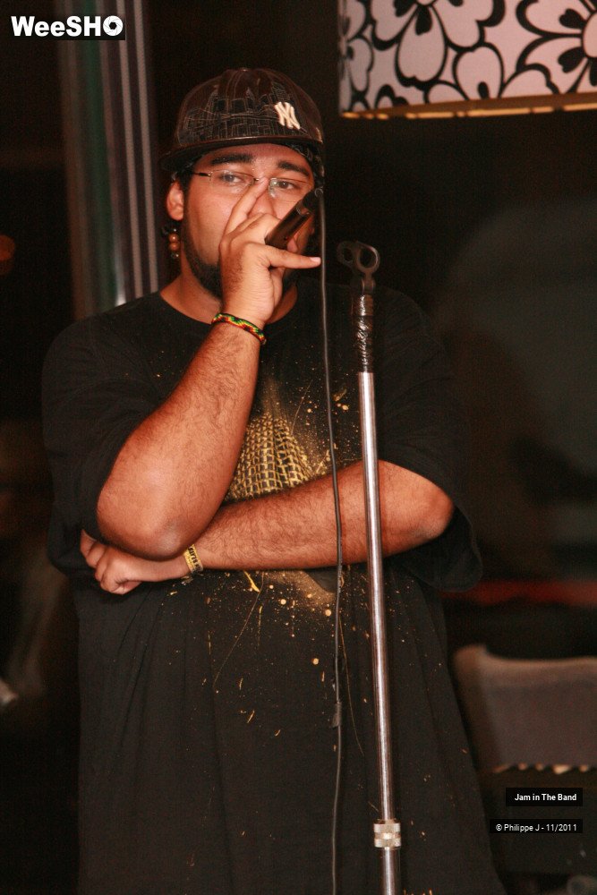 15/20 photos du spectacle Jam in The Band