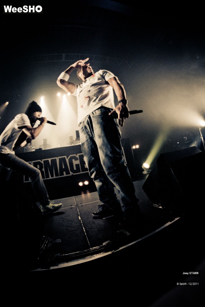 16/31 photos du spectacle Joey STARR