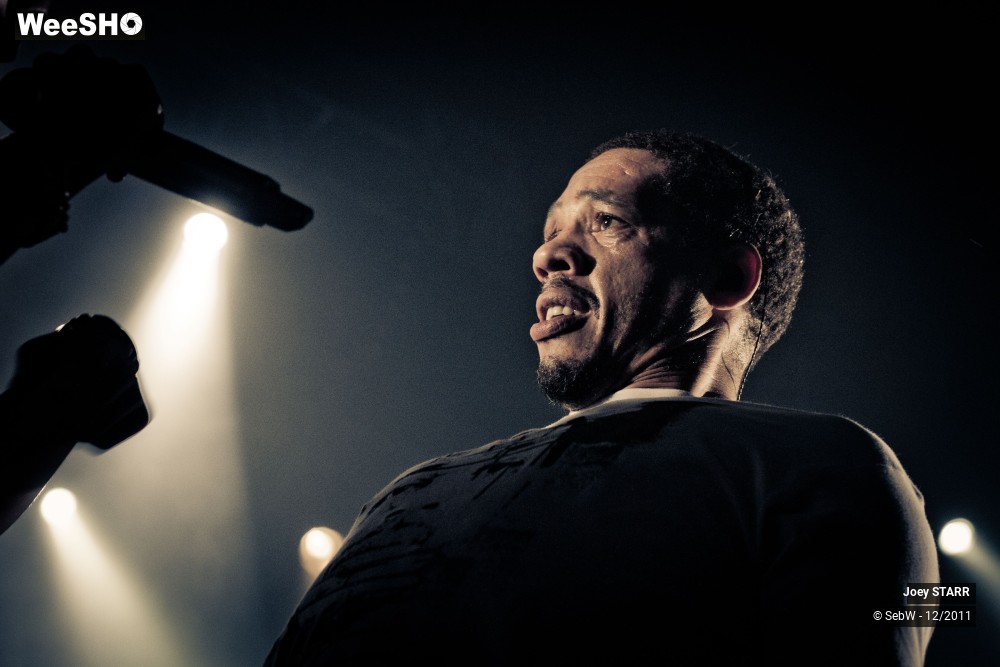 24/31 photos du spectacle Joey STARR