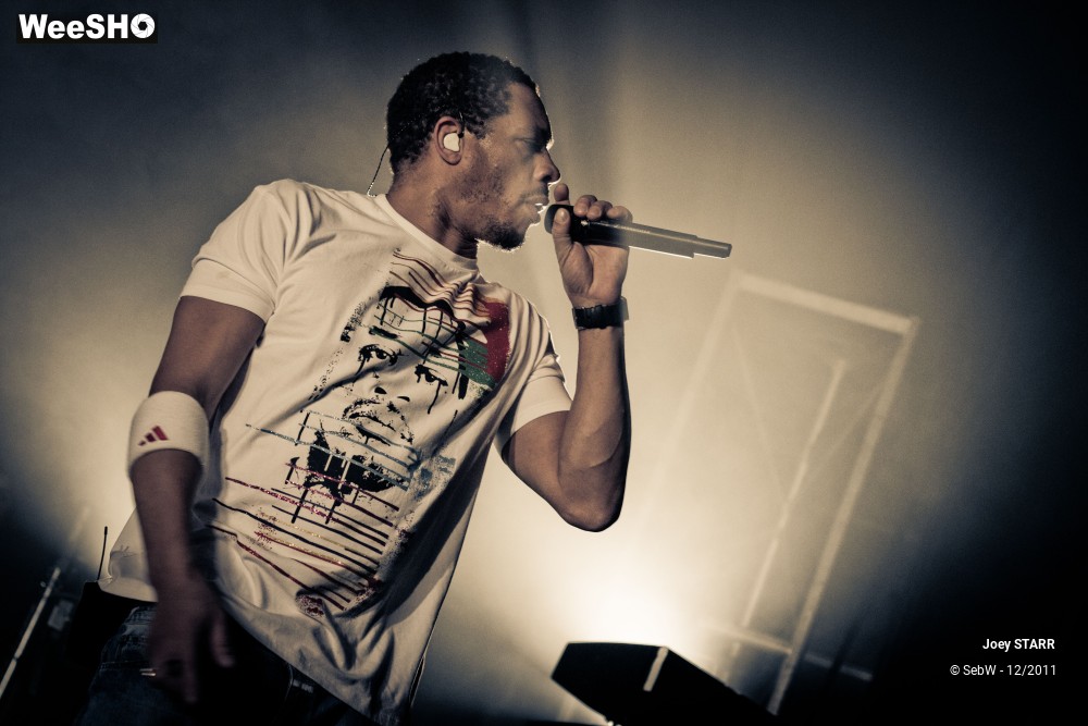 28/31 photos du spectacle Joey STARR