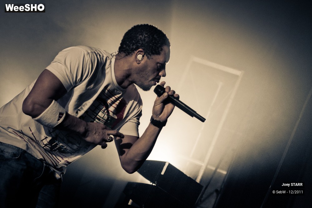 29/31 photos du spectacle Joey STARR