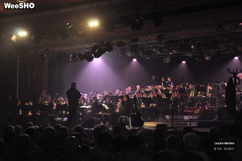 17/51 photos du spectacle Lézarmonic