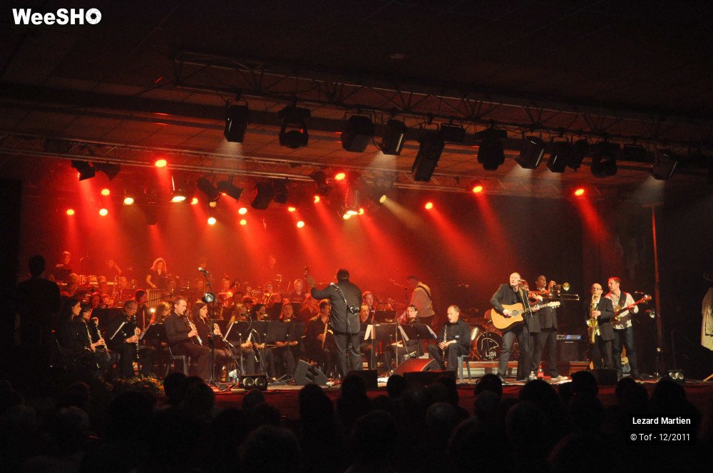 31/51 photos du spectacle Lézarmonic