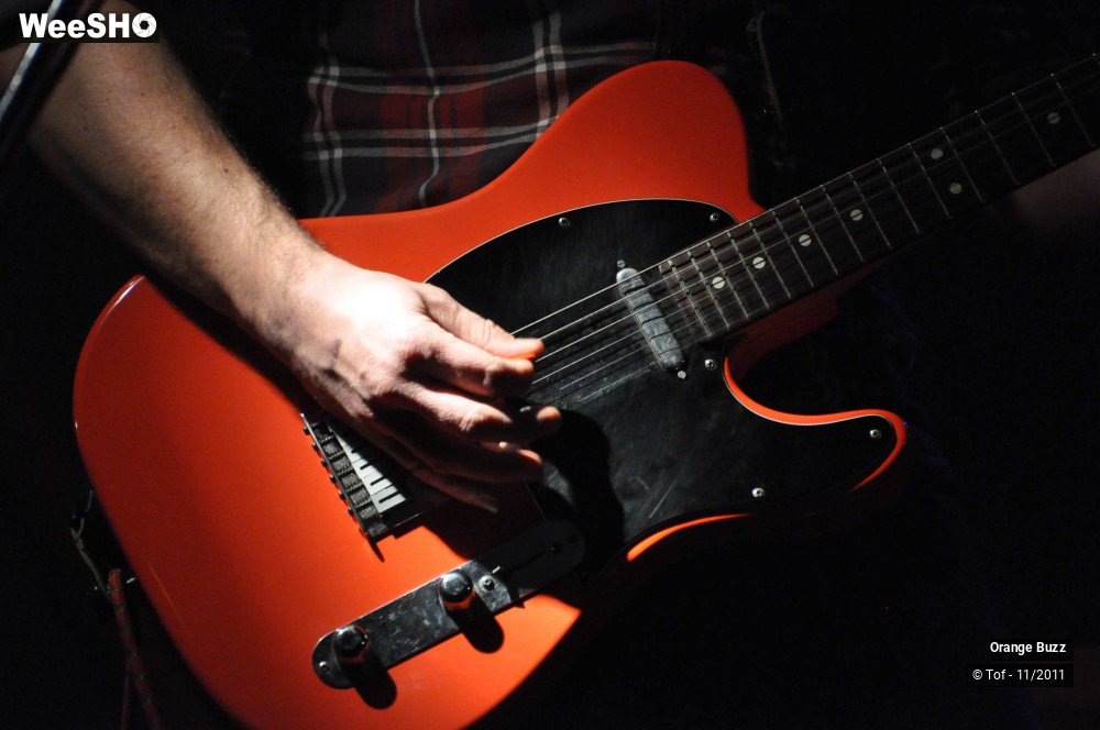 8/25 photos du spectacle Orange Buzz