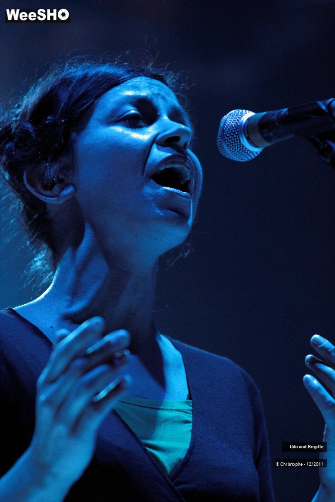 16/24 photos du spectacle Udo Und Brigitte