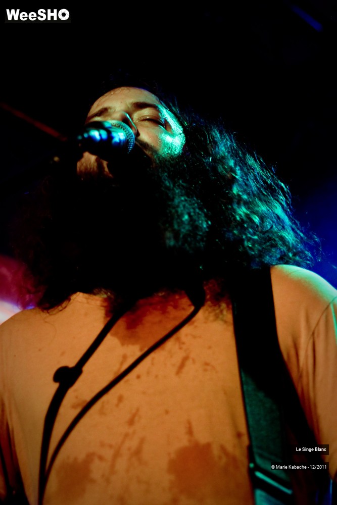 5/18 photos du spectacle Le Singe Blanc
