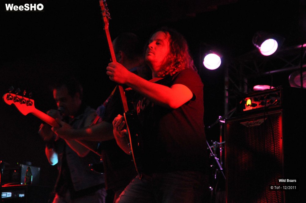 7/35 photos du spectacle Iron Maiden by Wildboars