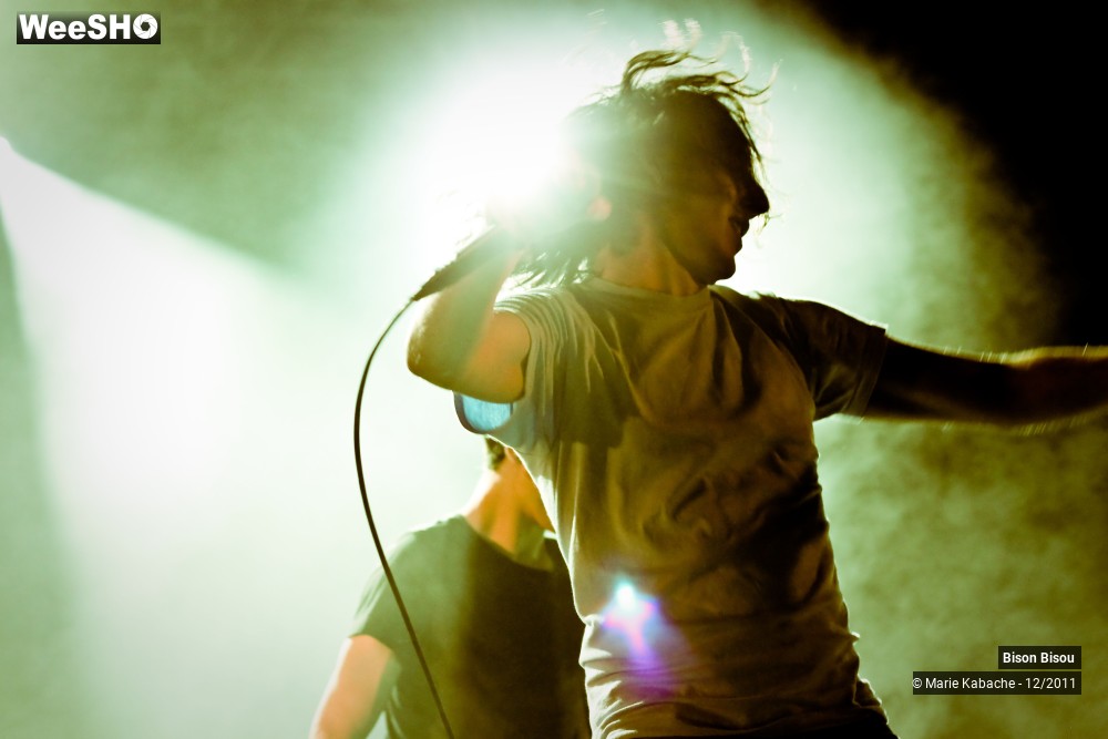 22/44 photos du spectacle Bison Bisou