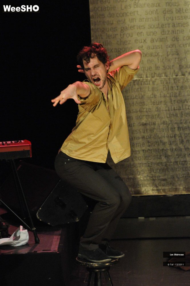 50/51 photos du spectacle Les Blaireaux