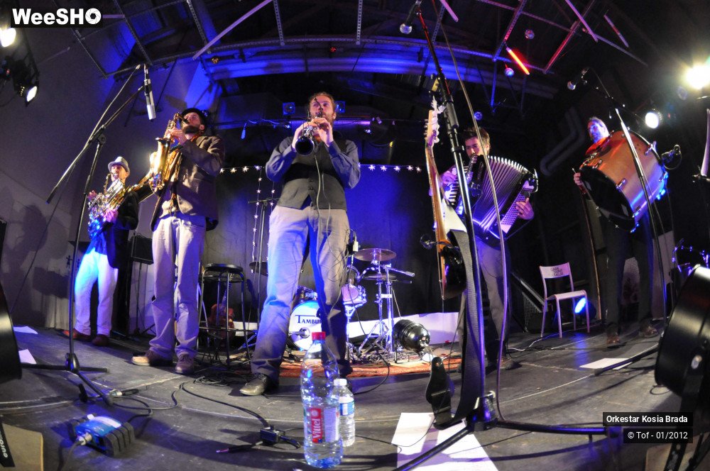 14/41 photos du spectacle Orkestar Kosia Brada