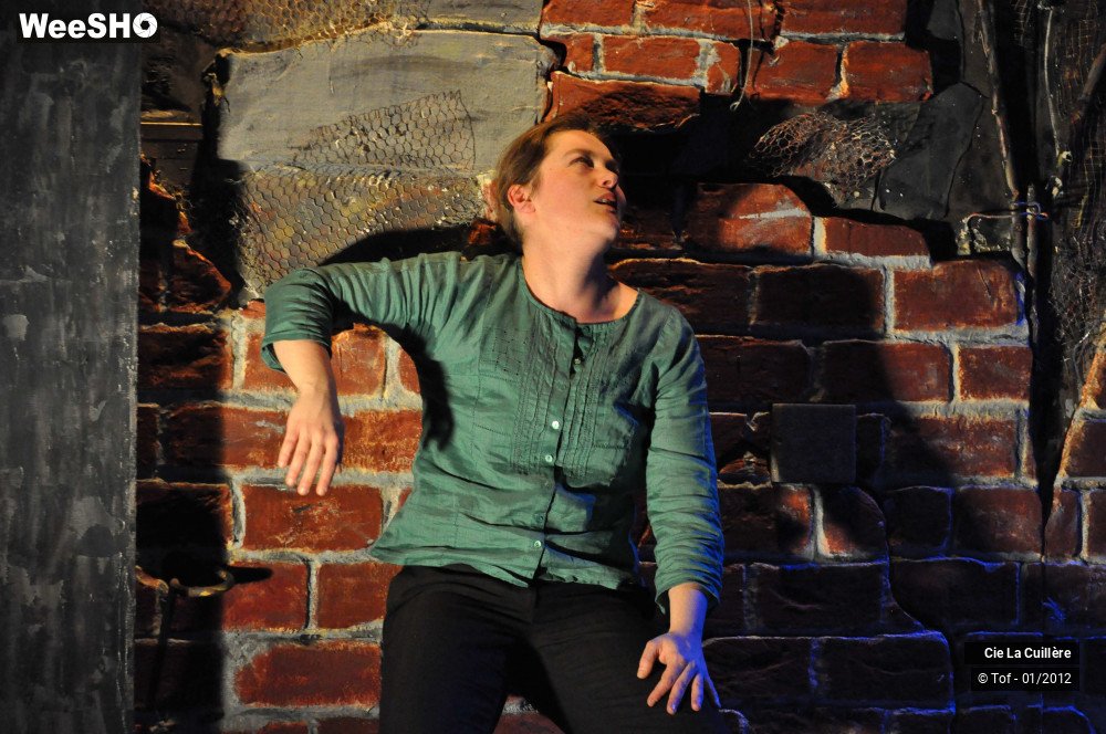 13/36 photos du spectacle Le Mur