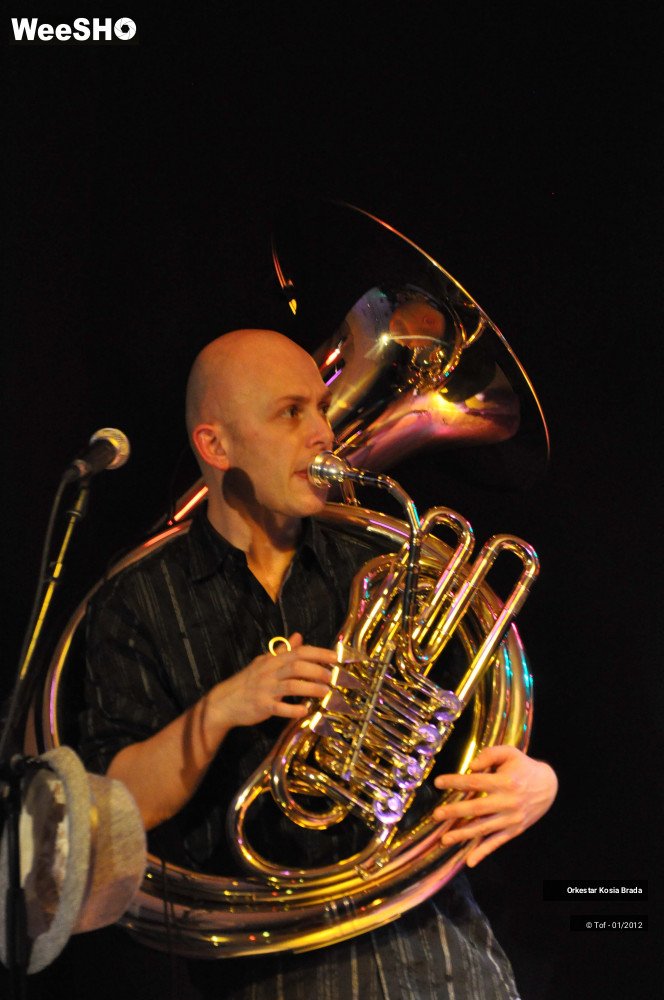 28/35 photos du spectacle Orkestar Kosia Brada