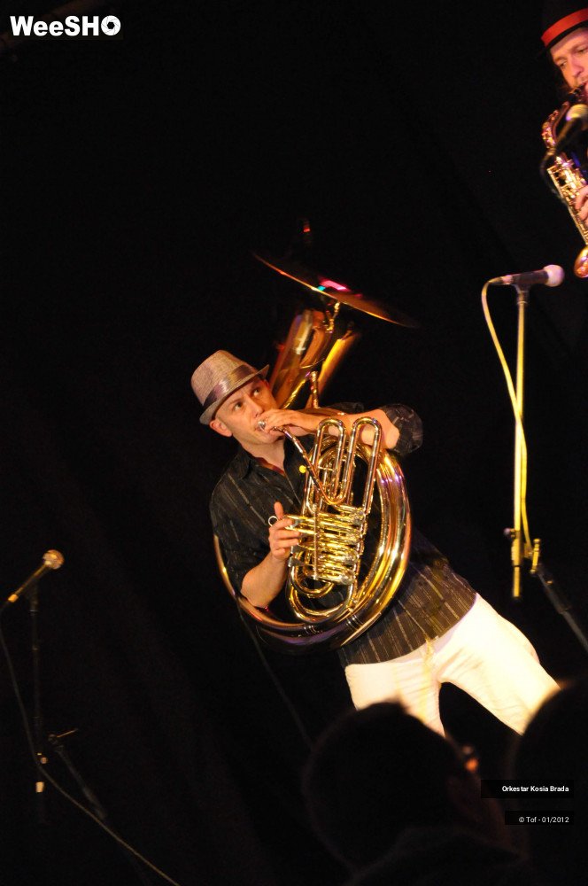 33/35 photos du spectacle Orkestar Kosia Brada