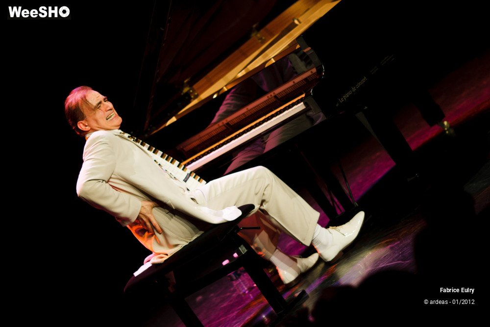 12/33 photos du spectacle Fabrice Eulry et son piano fou