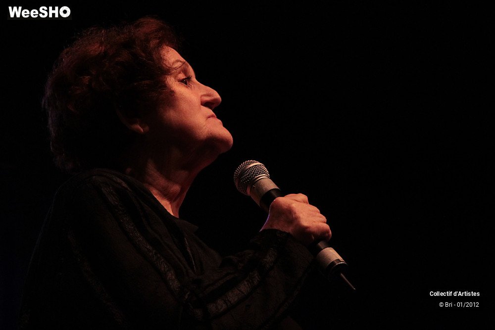 11/48 photos du spectacle Hommage a Allain Leprest