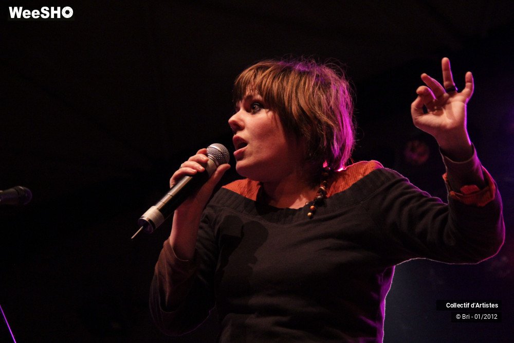 12/48 photos du spectacle Hommage a Allain Leprest
