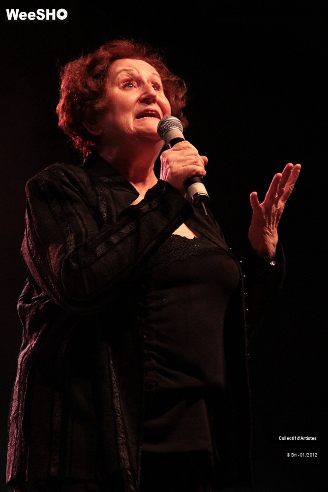24/48 photos du spectacle Hommage a Allain Leprest