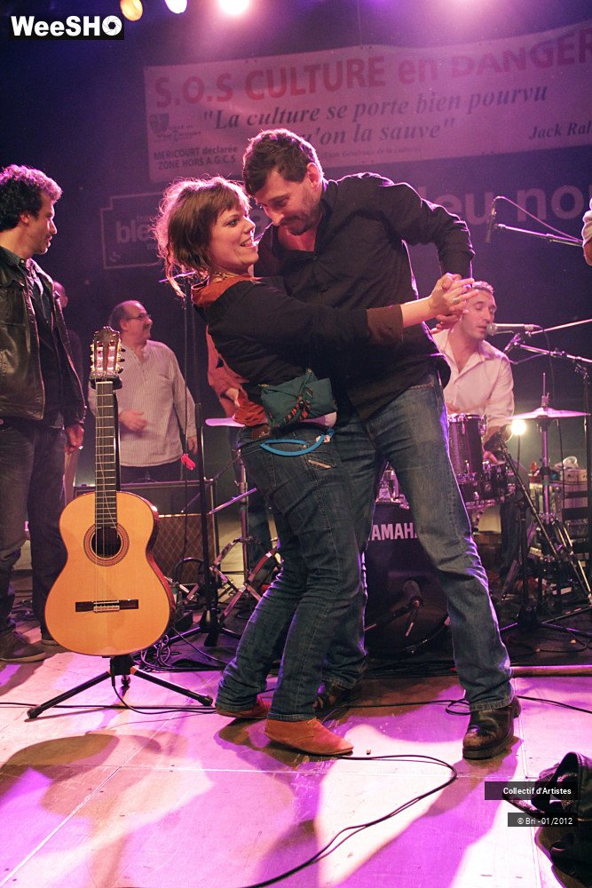 28/48 photos du spectacle Hommage a Allain Leprest